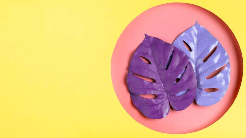 您正陷入高息[網貸]困境嗎？