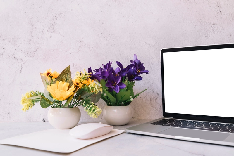 為什麼你的貸款申請總是被拒？