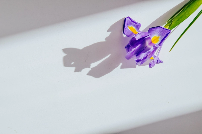 香港免TU貸款 + 0手續費 完全攻略 2026