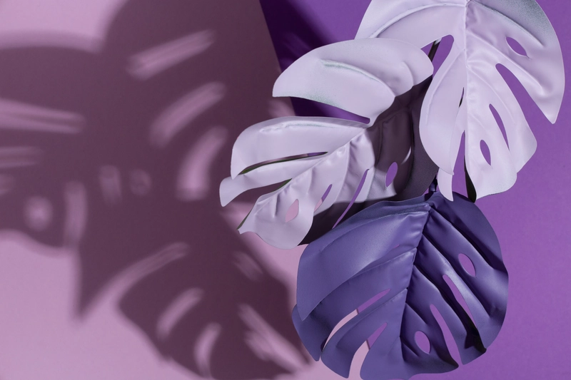 如何快速獲批大額網貸解決資金需求？